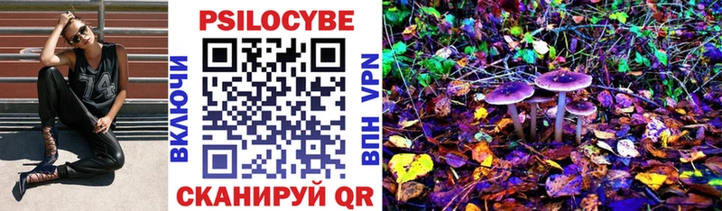 Псилоцибиновые грибы мицелий  Купить закладки  Микунь 